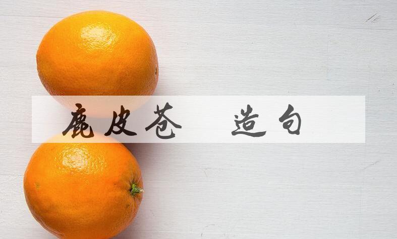 用鹿皮苍璧造句