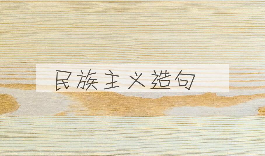 用民族主义造句