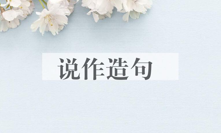 用说作造句
