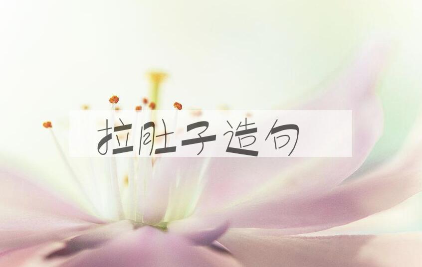 用拉肚子造句