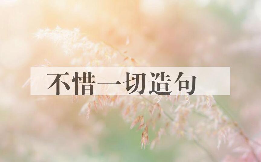 用不惜一切造句