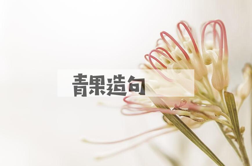 用青果造句