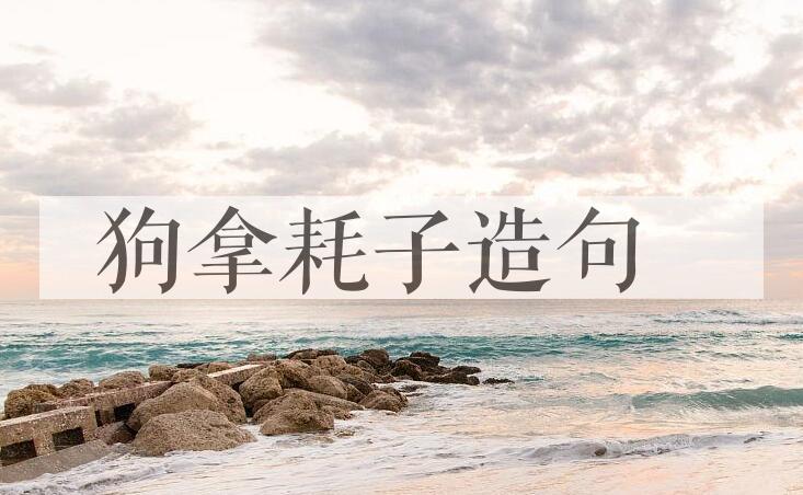 用狗拿耗子造句