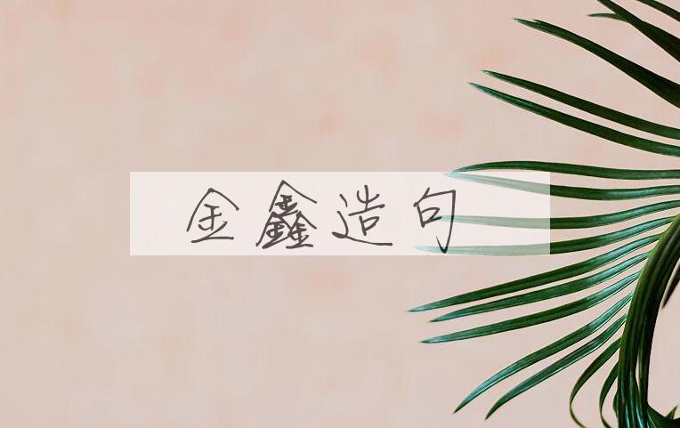 用金鑫造句