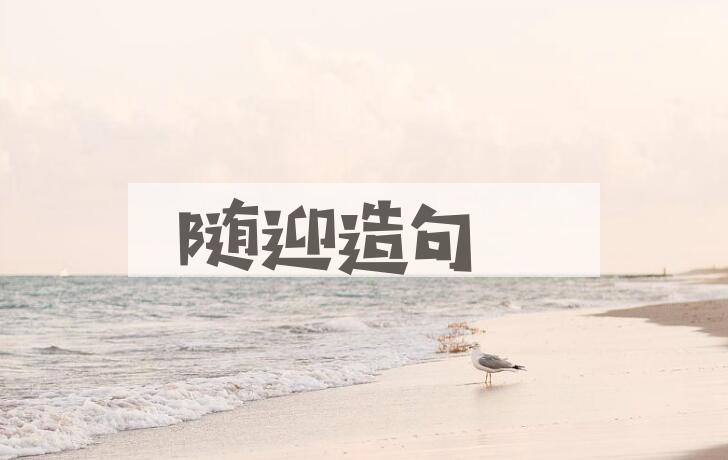 用随迎造句