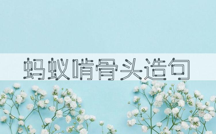 用蚂蚁啃骨头造句