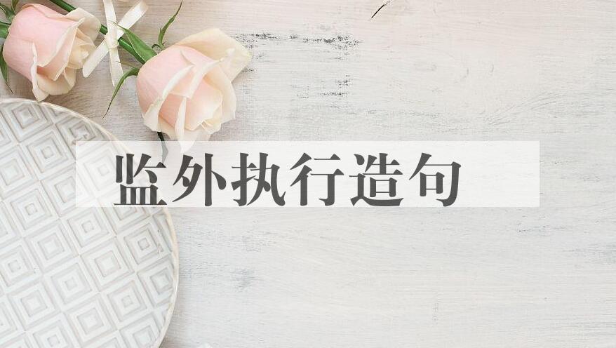 用监外执行造句