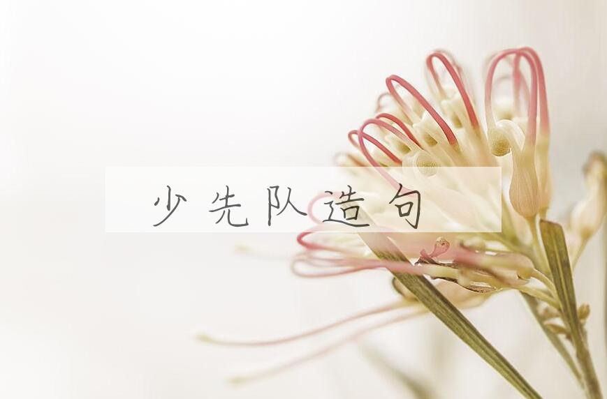 用少先队造句