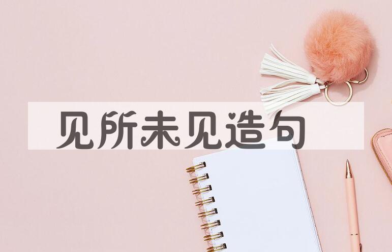 用见所未见造句