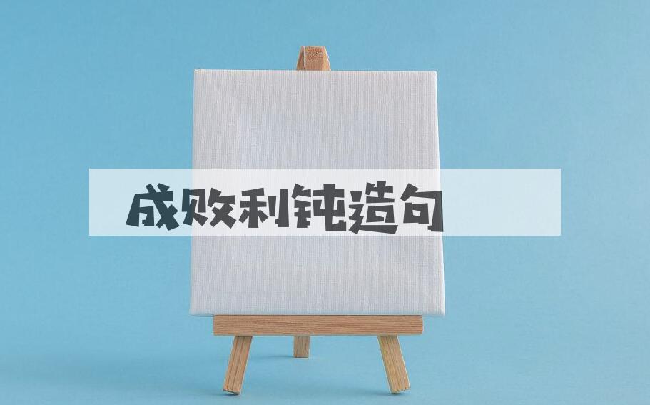 用成败利钝造句