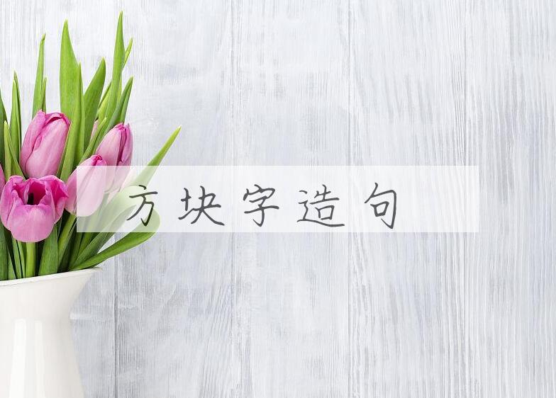用方块字造句