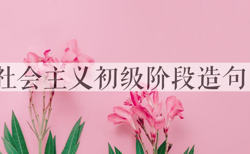 用社会主义初级阶段造句