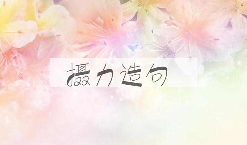 用摄力造句