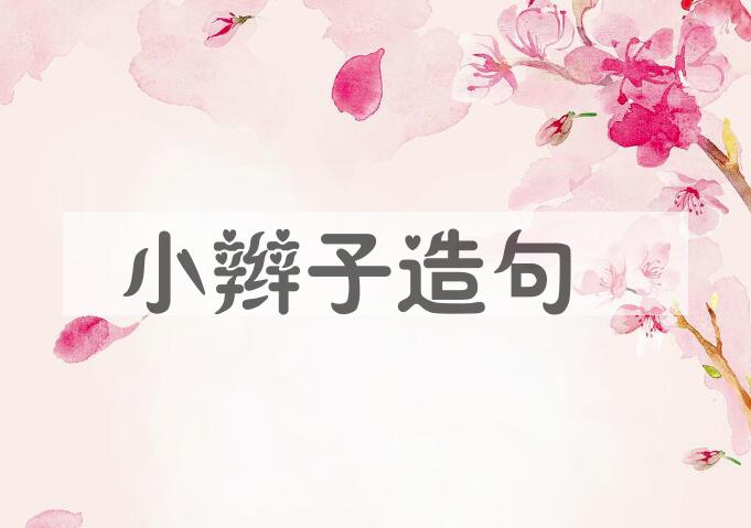 用小辫子造句