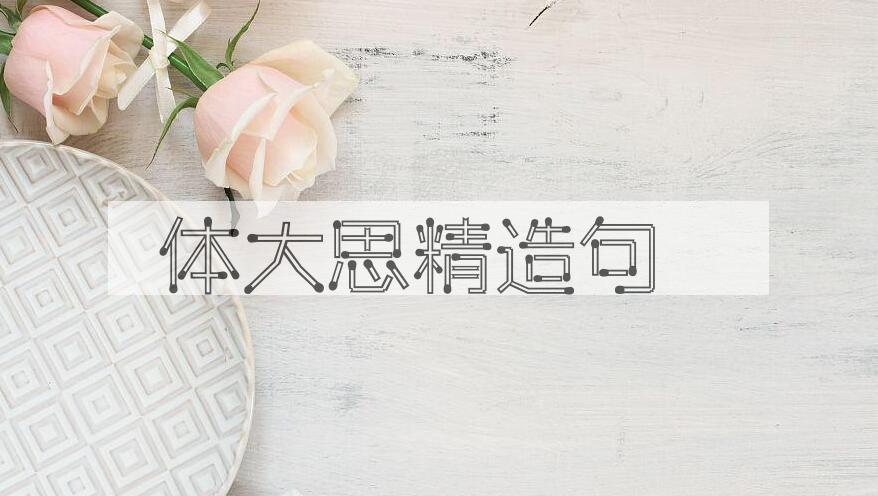 用体大思精造句