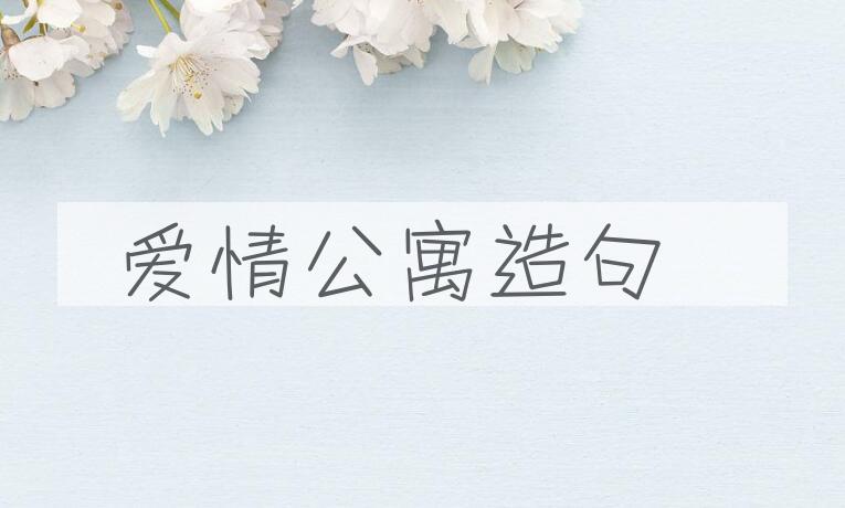 用爱情公寓造句