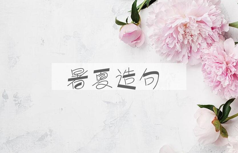 用暑夏造句