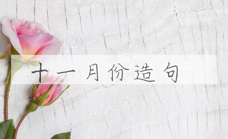用十一月份造句