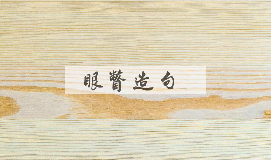 用眼瞥造句