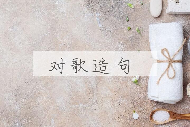 用对歌造句