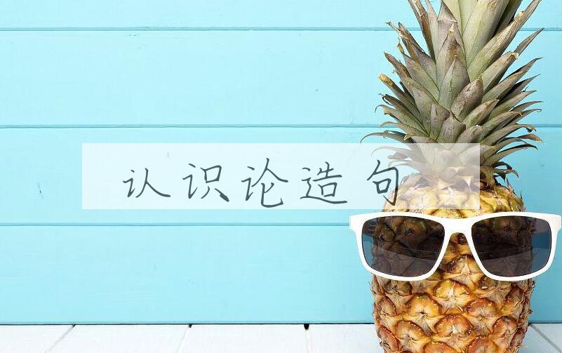 用认识论造句