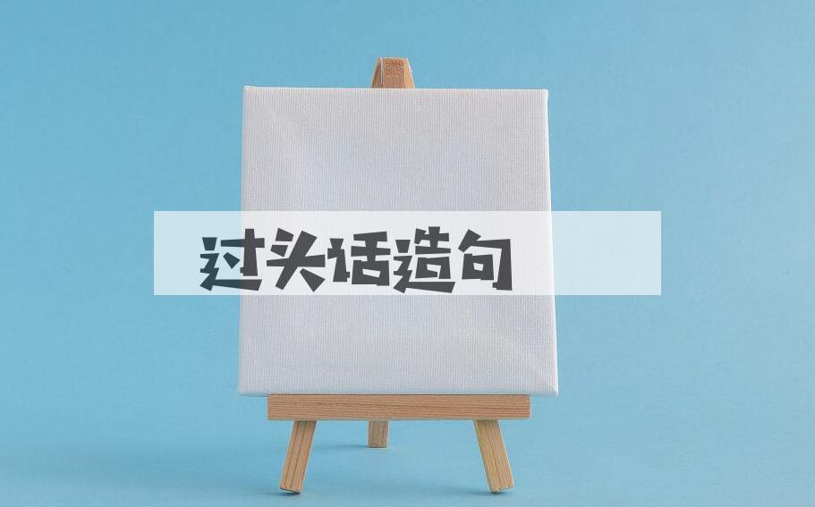 用过头话造句