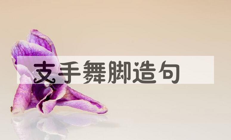 用支手舞脚造句