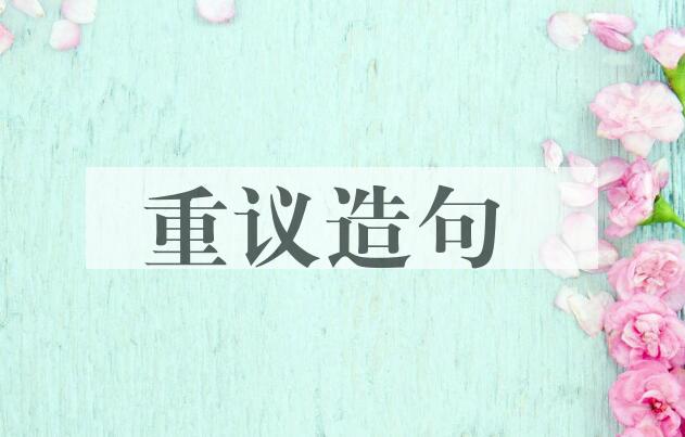 用重议造句