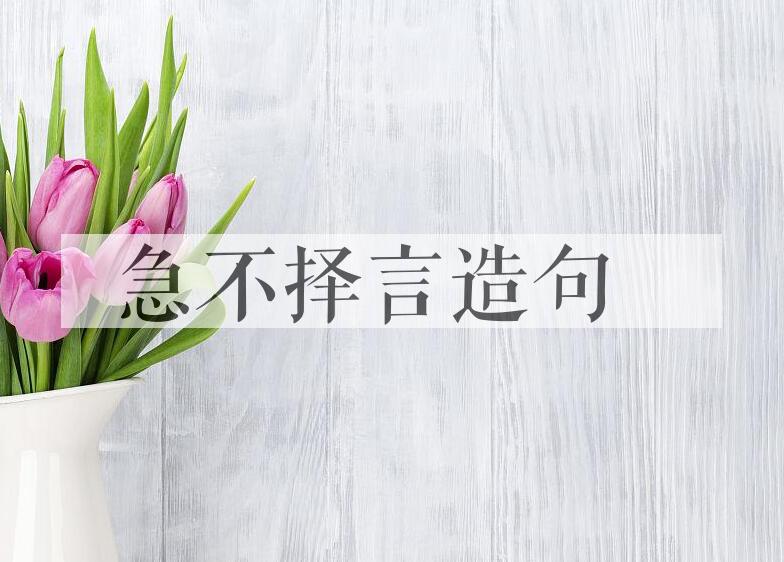 用急不择言造句