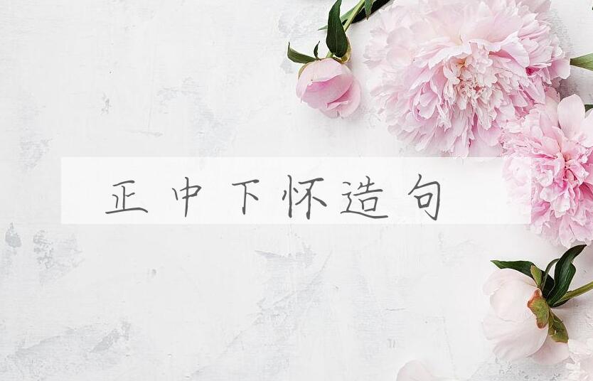 用正中下怀造句