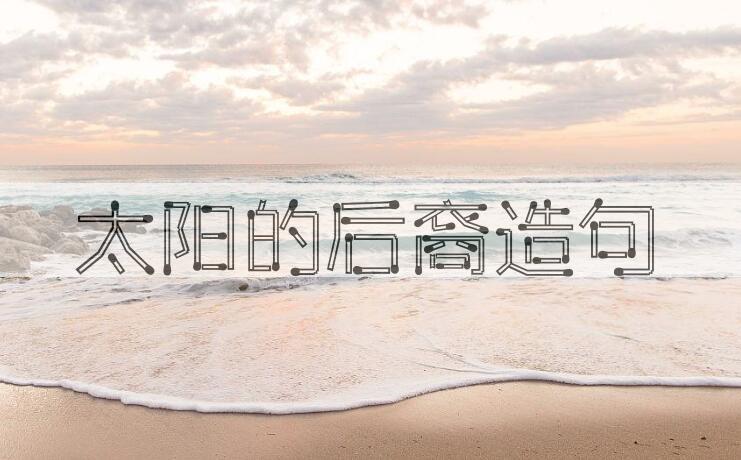 用太阳的后裔造句