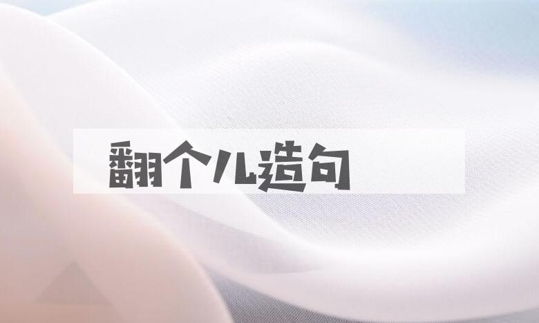 用翻个儿造句
