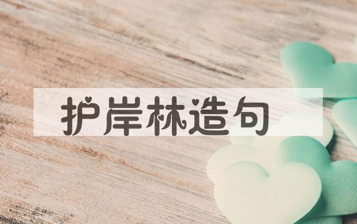 用护岸林造句