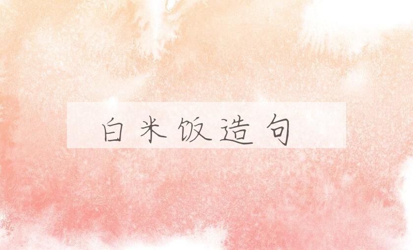 用白米饭造句