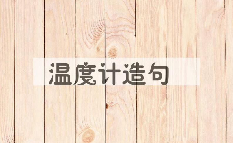 用温度计造句