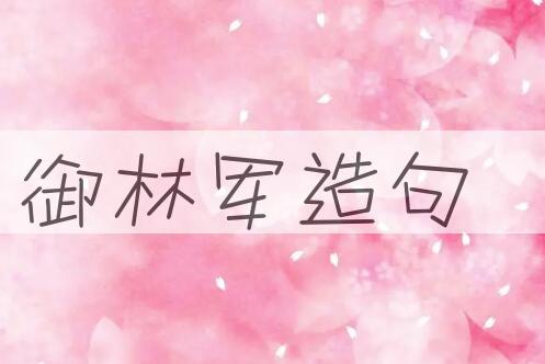 用御林军造句