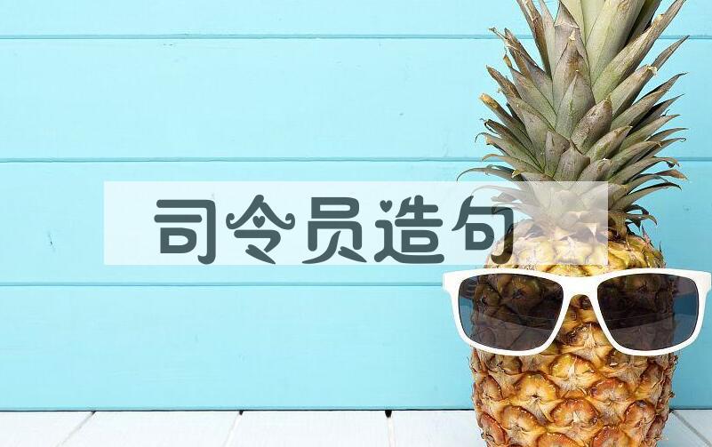 用司令员造句