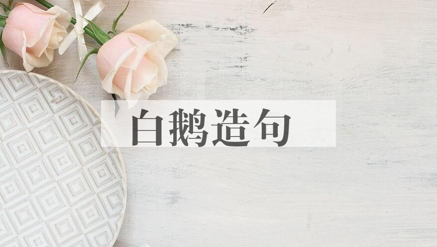 用白鹅造句