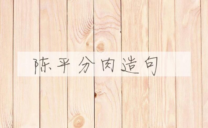 用陈平分肉造句
