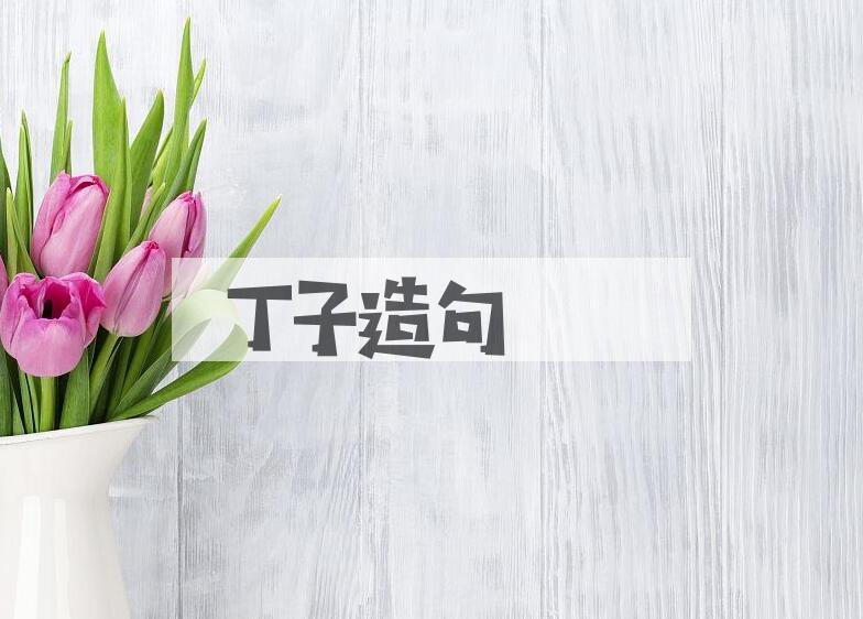 用丁子造句