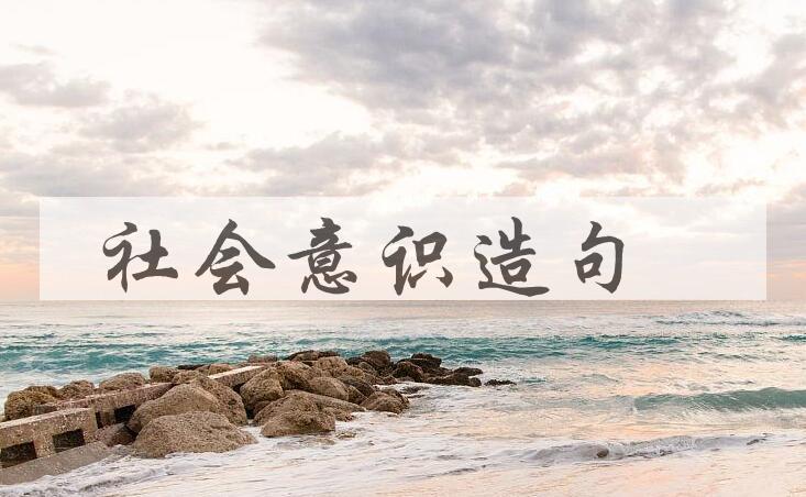 用社会意识造句