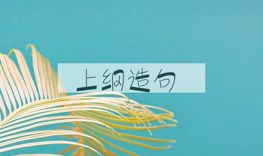 用上纲造句