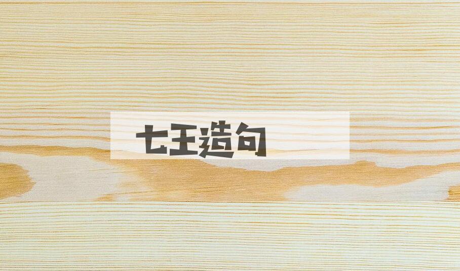 用七王造句