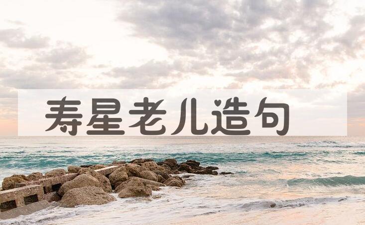 用寿星老儿造句