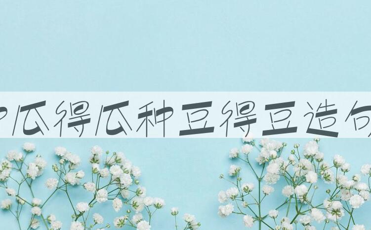 用种瓜得瓜，种豆得豆造句