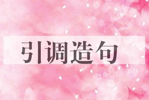 用引调造句
