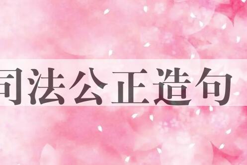 用司法公正造句