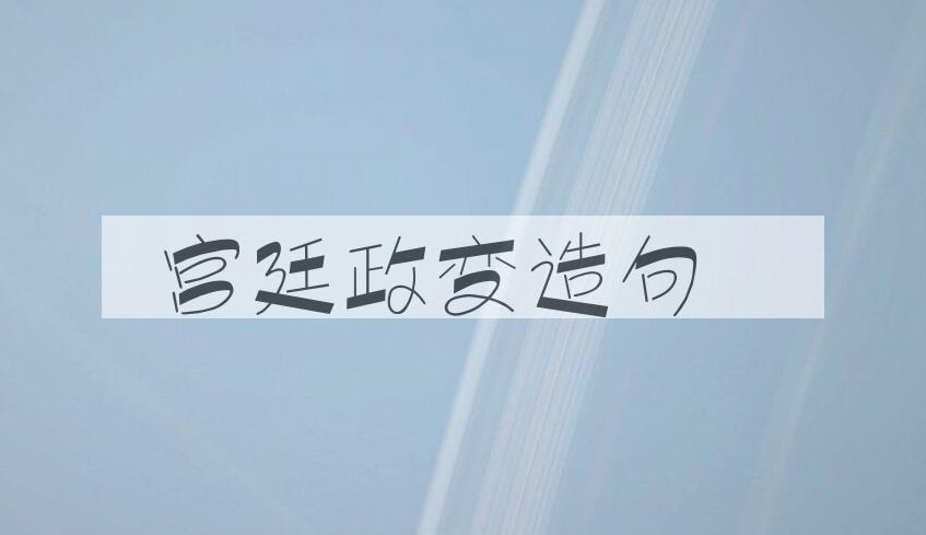 用宫廷政变造句