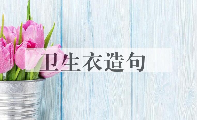 用卫生衣造句
