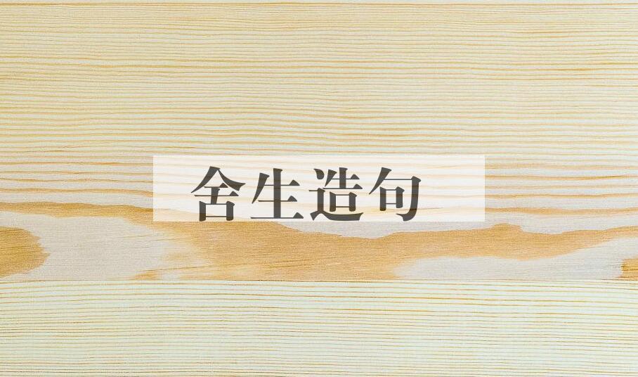 用舍生造句